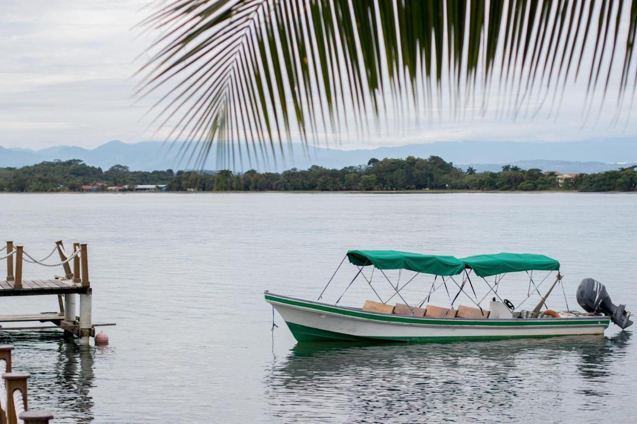 Playa Tortuga Hotel And Beach Resort Bocas Town Exterior foto
