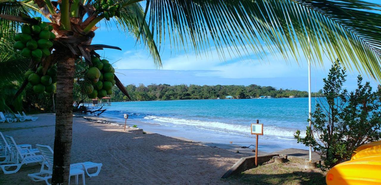 Playa Tortuga Hotel And Beach Resort Bocas Town Exterior foto