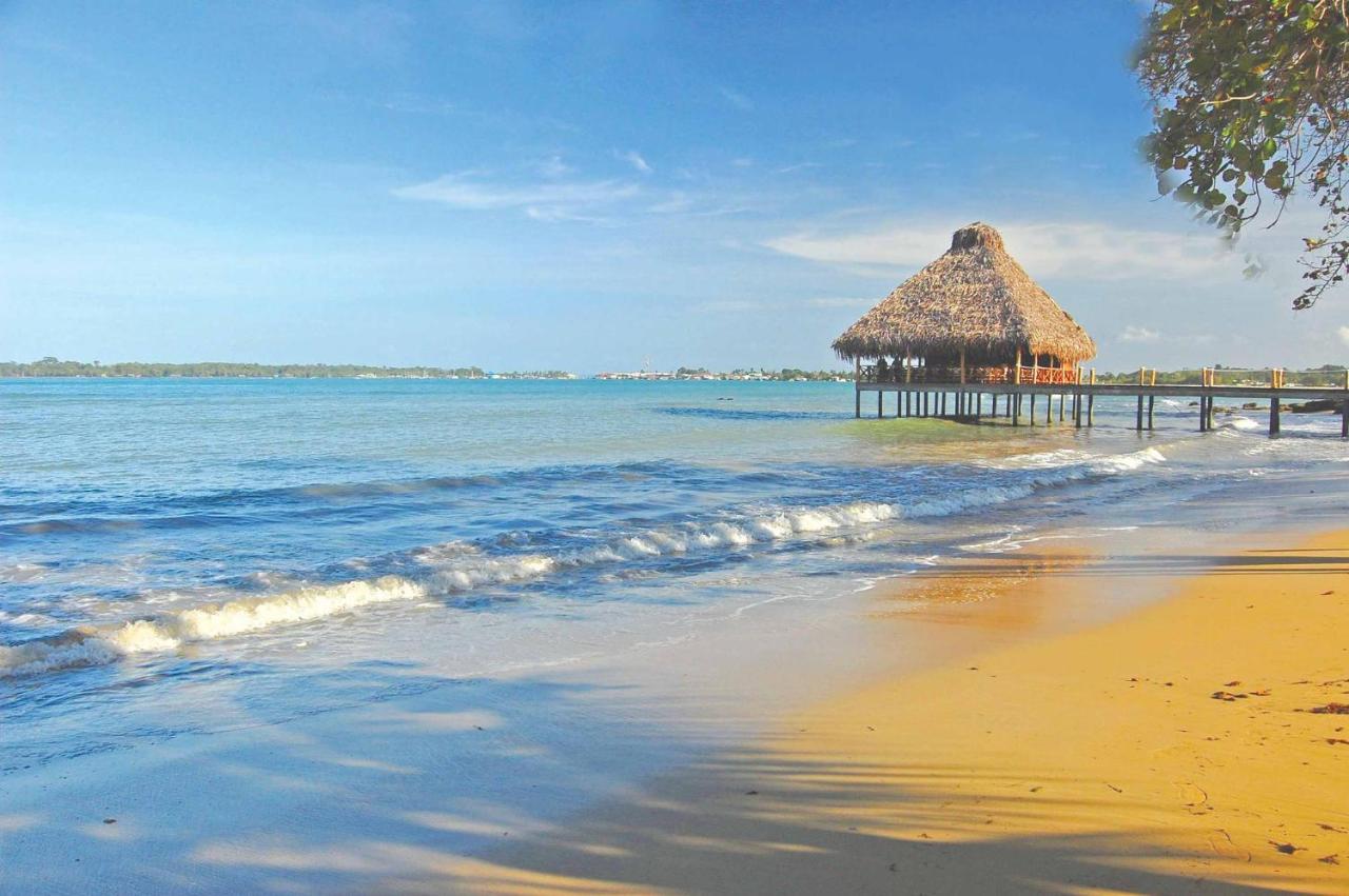 Playa Tortuga Hotel And Beach Resort Bocas Town Facilități foto